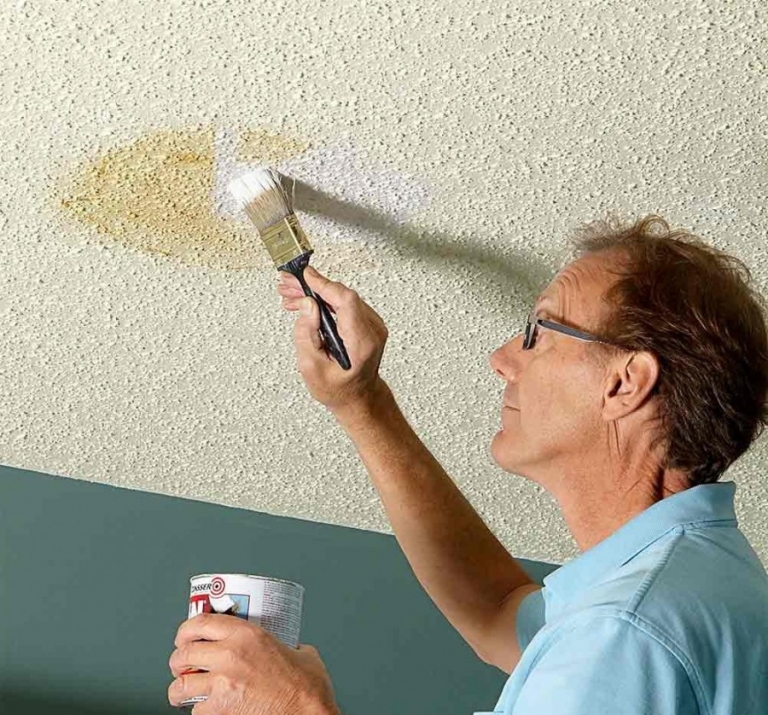 как покрасить обои на потолке водоэмульсионной краской