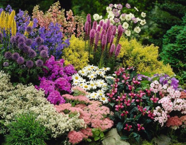 Клумбы для цветов на даче своими руками – 70 лучших вариантов